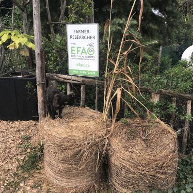 Screenshot 2025-10-27 at 11.28.20 AM